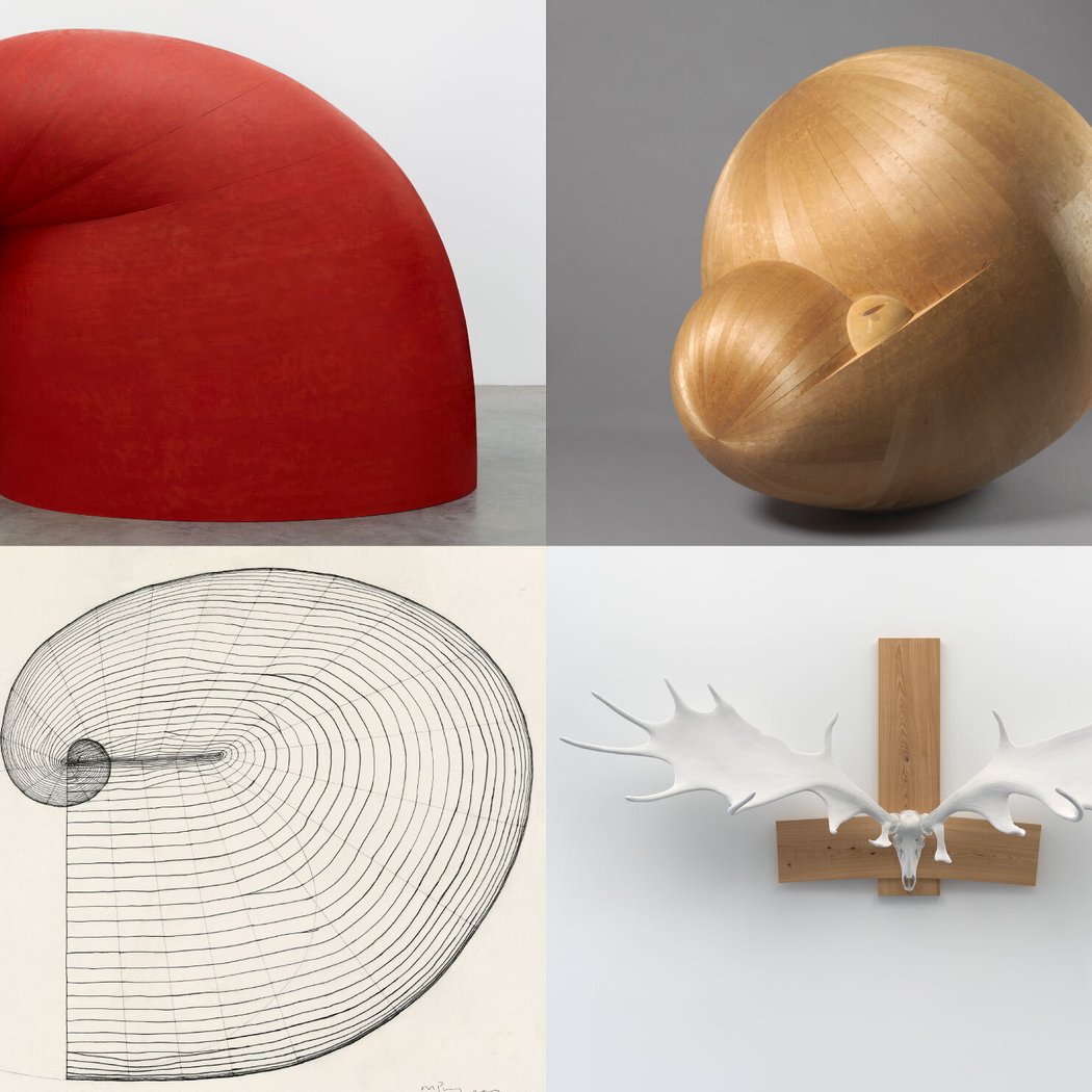 Martin Puryear: Nexus 2